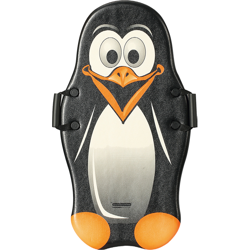 Children's Cartoon Snowboard Penguin Design